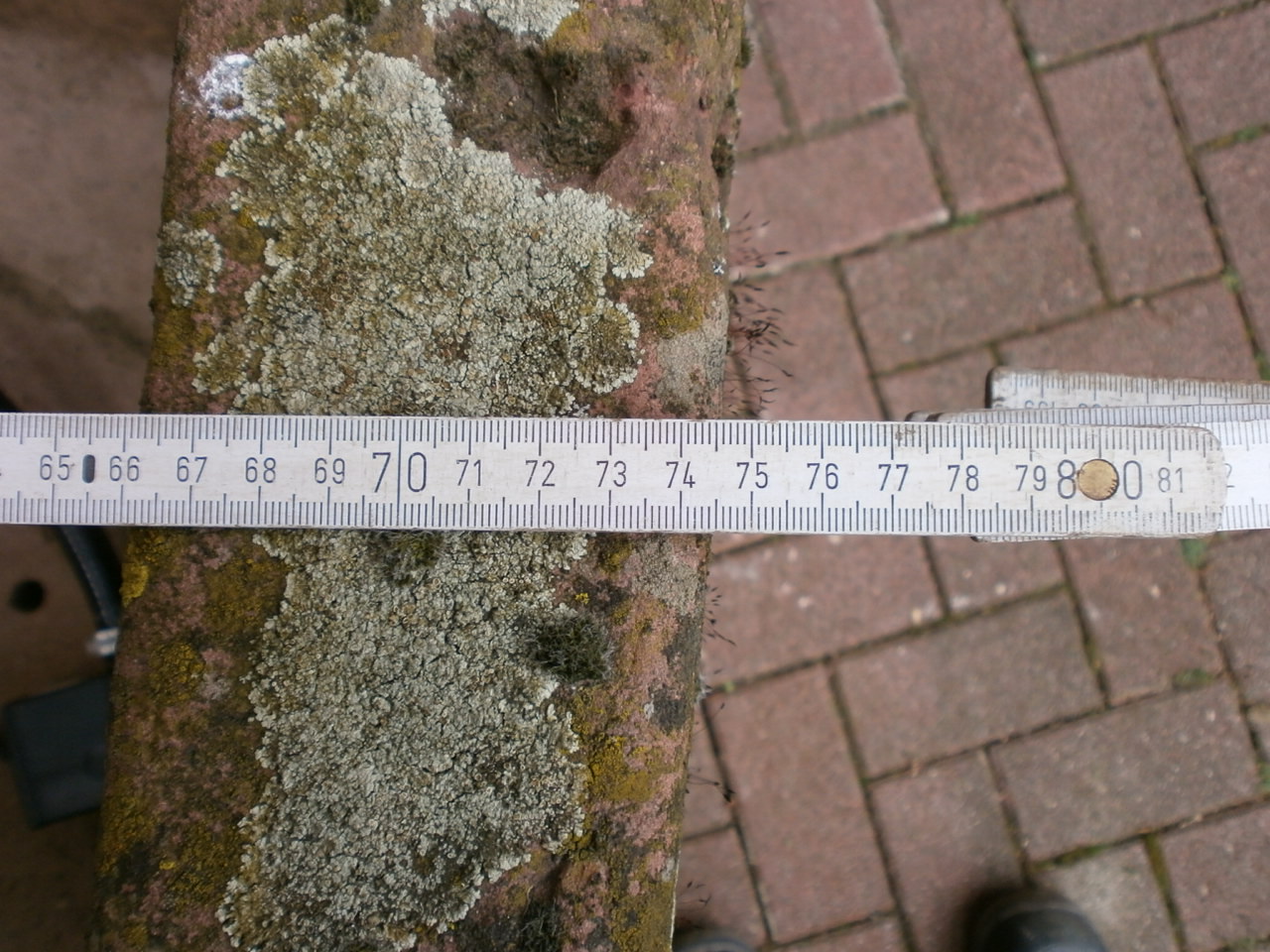 Brunnen aus rotem Sandstein Brunnen aus rotem Sandstein