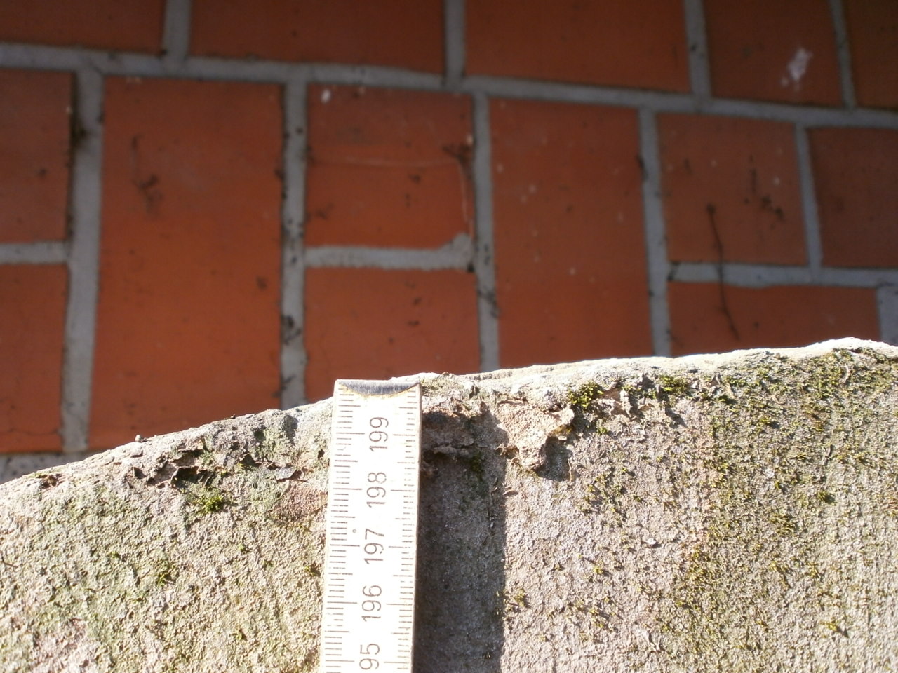 Brunnen in Vorbereitung Brunnen in Vorbereitung