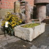Brunnen aus antiken Trog mit Frosch