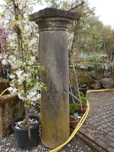 Säule mit Kapitell