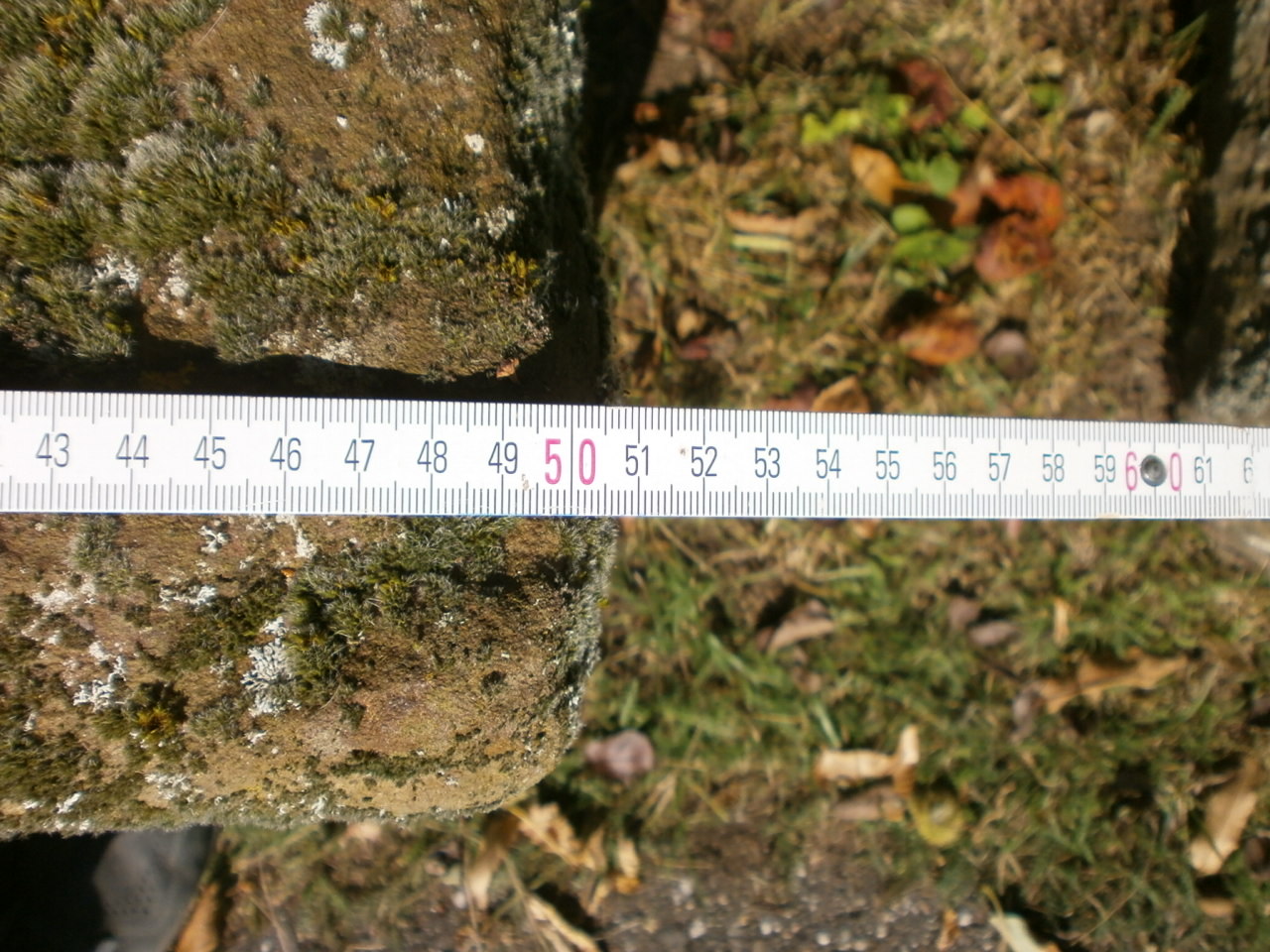 Brunnetrog aus Sandstein Brunnetrog aus Sandstein
