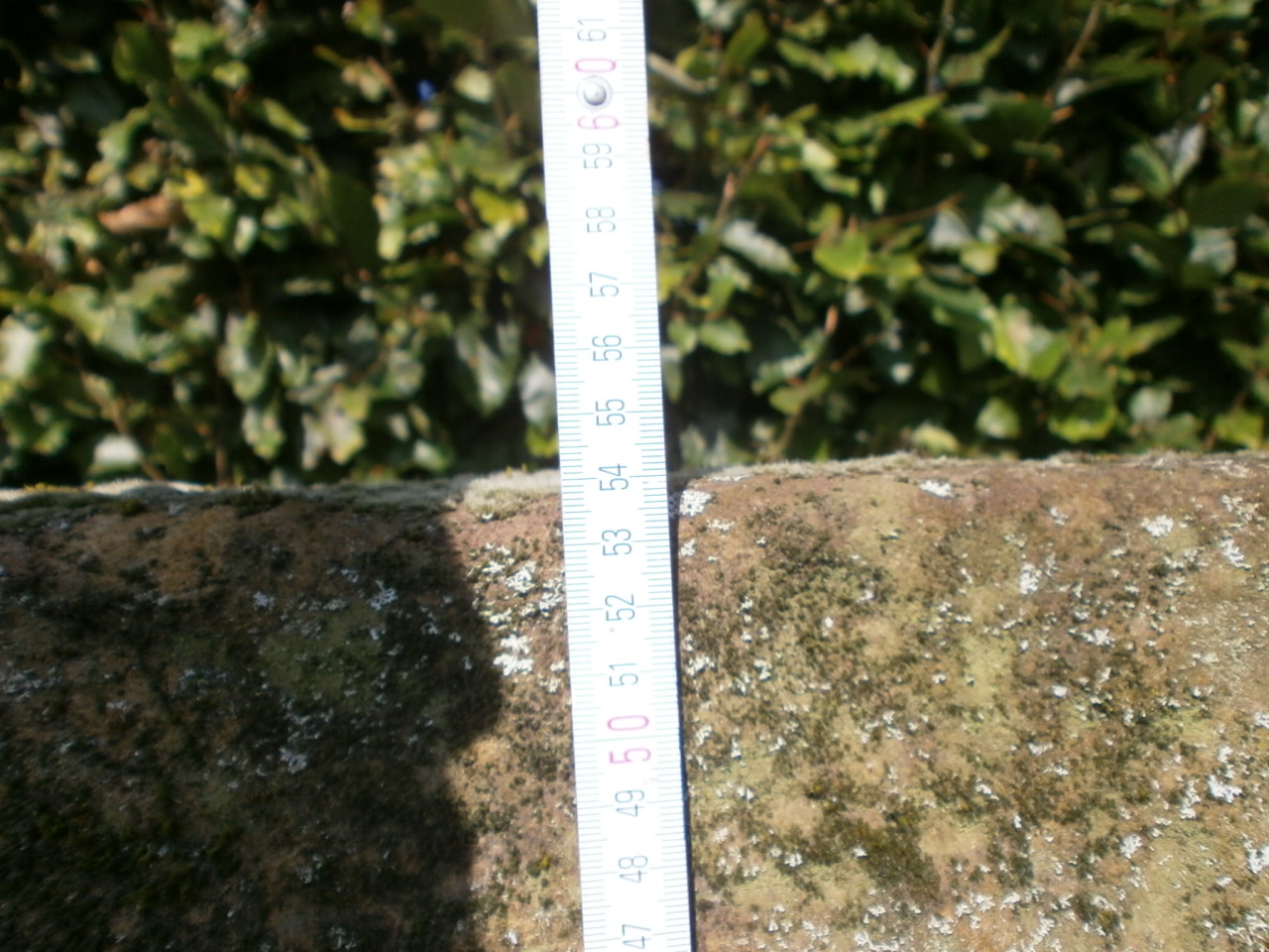 Brunnetrog aus Sandstein Brunnetrog aus Sandstein